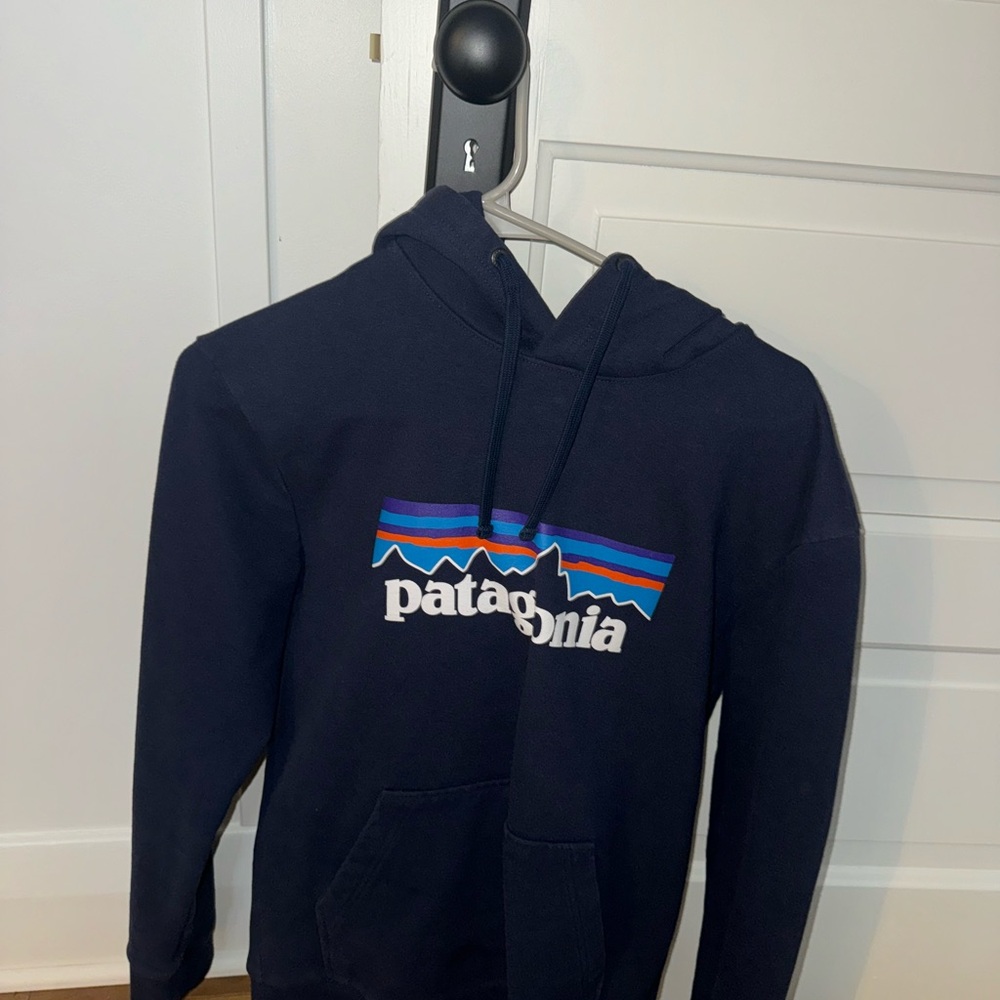 Patagonia Men's Navy Hoodie